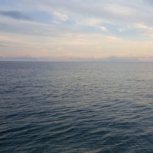 Meet your Posher, Demetria